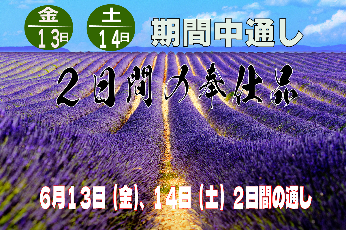 ６月１３日～１４日の奉仕品