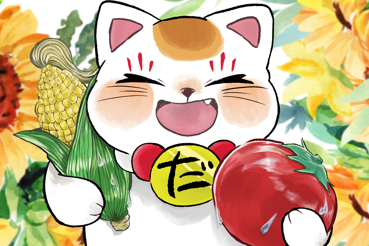 8月1日（金）特売！！
