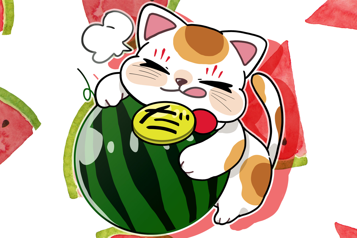 ８月３日（日）の特売！
