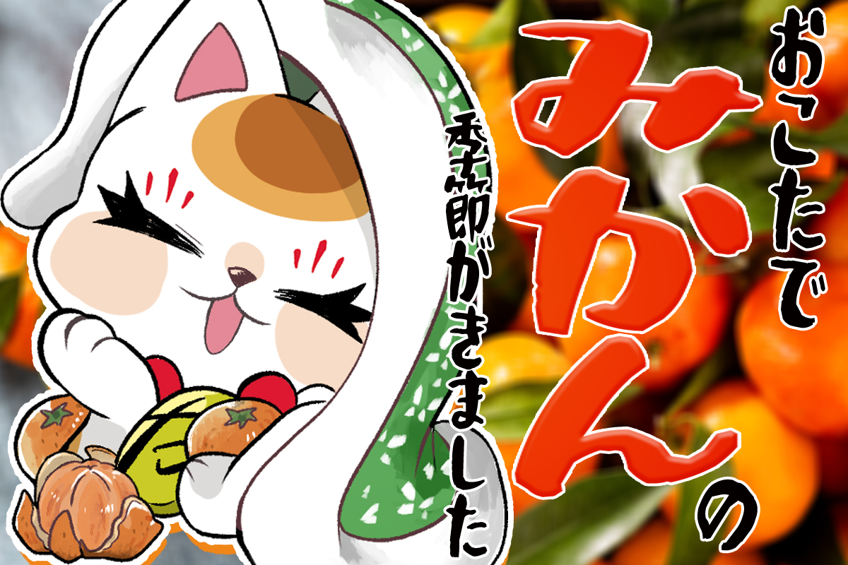 １１月６日（木）の特売！